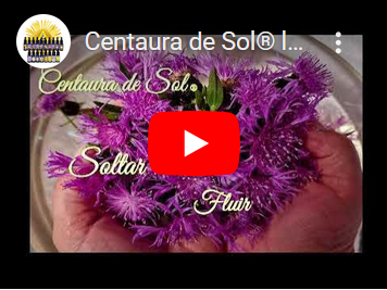 Vídeo Centaura de Sol