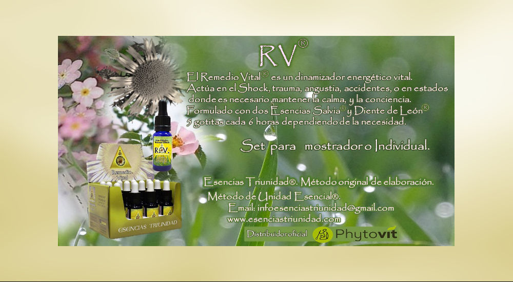 RV