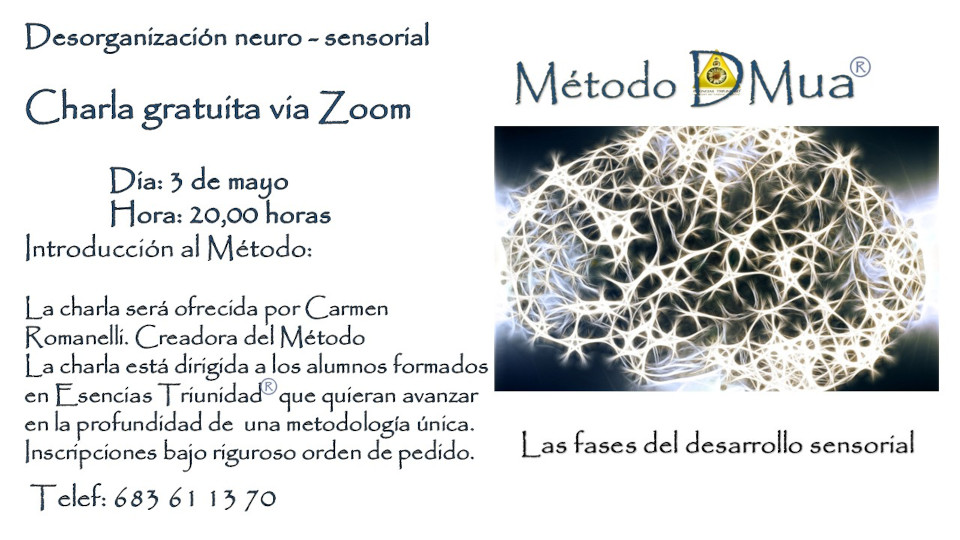 charla-zoom-mayo26
